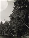 WEBER, BRUCE (1946- ) A triptych titled Rob, Upper St. Regis Lake, Adirondack Park.